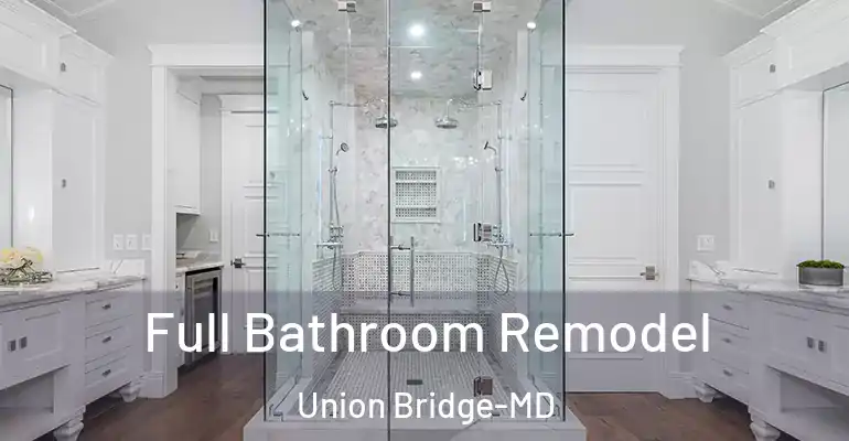 inner Bathroom imggen Full Bathroom Remodel Union Bridge-MD