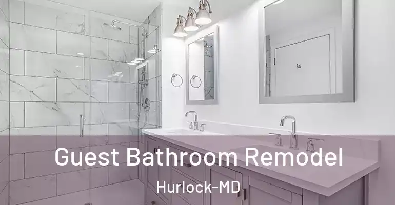 inner Bathroom imggen Guest Bathroom Remodel Hurlock-MD