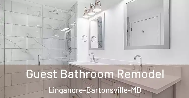 inner Bathroom imggen Guest Bathroom Remodel Linganore-Bartonsville-MD