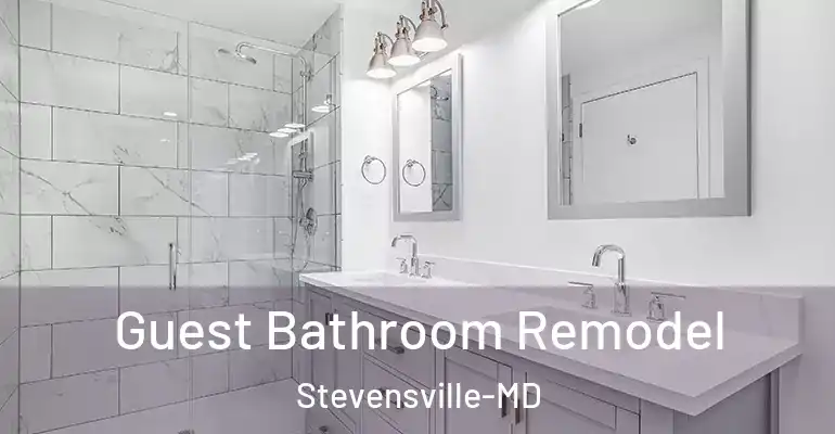 inner Bathroom imggen Guest Bathroom Remodel Stevensville-MD