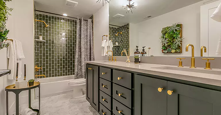 Budget Shower Remodel in Salisbury, MD