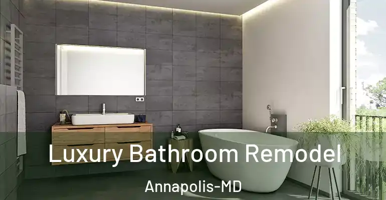inner Bathroom imggen Luxury Bathroom Remodel Annapolis-MD