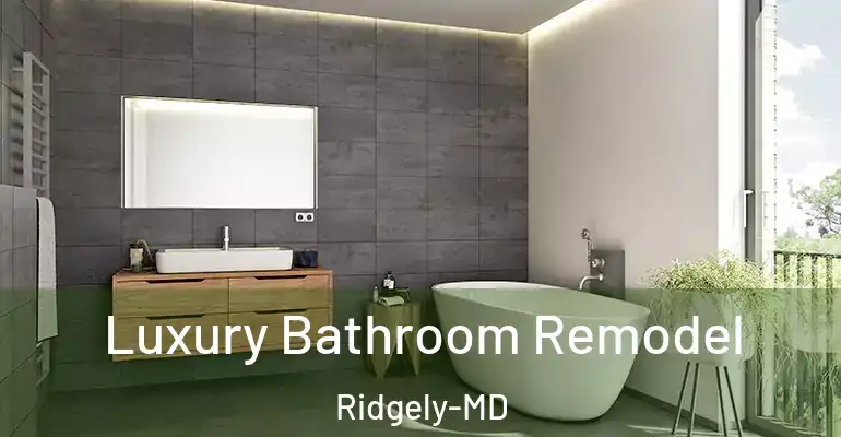 inner Bathroom imggen Luxury Bathroom Remodel Ridgely-MD