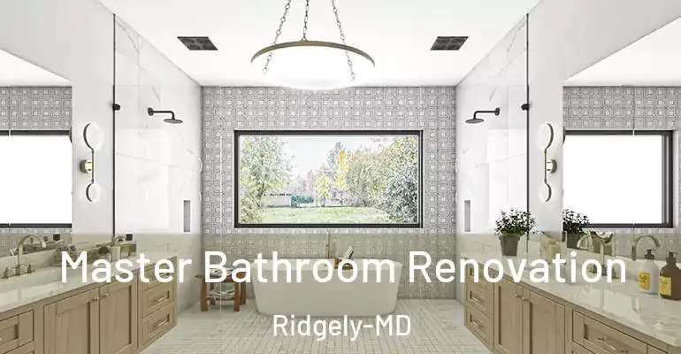 inner Bathroom imggen Master Bathroom Renovation Ridgely-MD