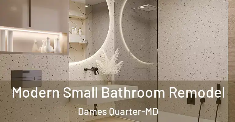 inner Bathroom imggen Modern Small Bathroom Remodel Dames Quarter-MD