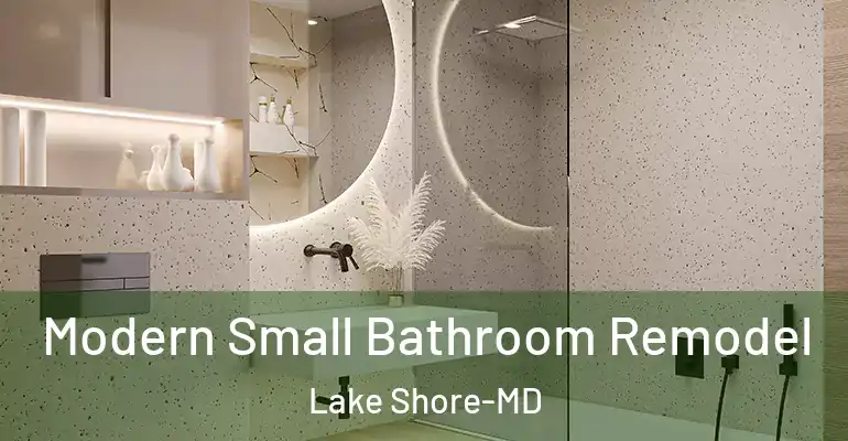 inner Bathroom imggen Modern Small Bathroom Remodel Lake Shore-MD