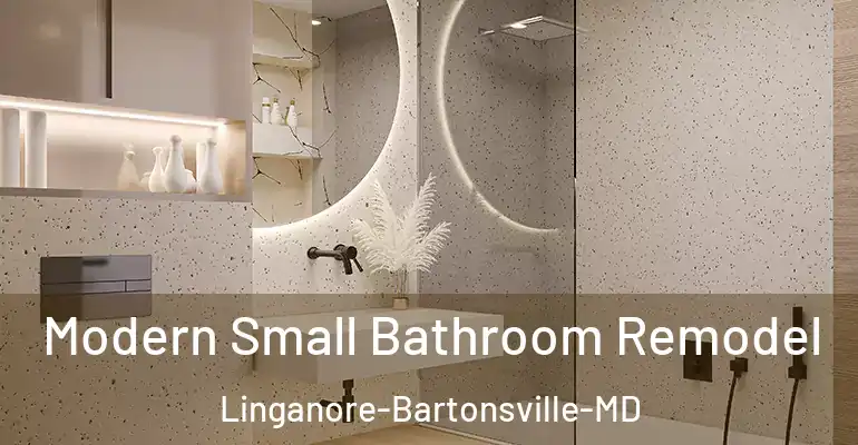 inner Bathroom imggen Modern Small Bathroom Remodel Linganore-Bartonsville-MD