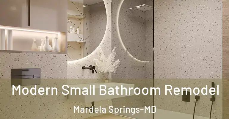 inner Bathroom imggen Modern Small Bathroom Remodel Mardela Springs-MD