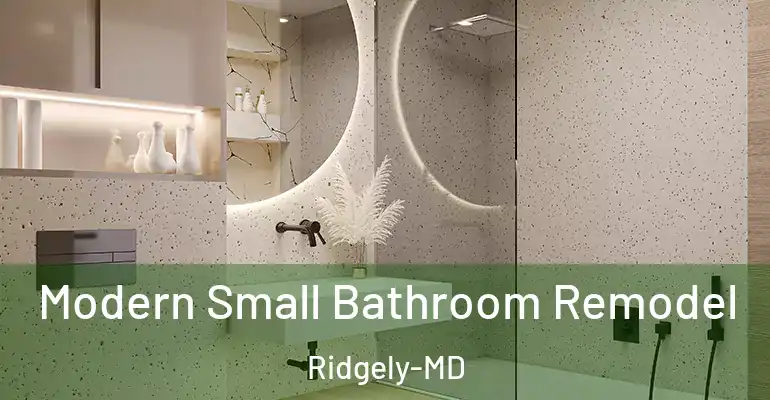 inner Bathroom imggen Modern Small Bathroom Remodel Ridgely-MD