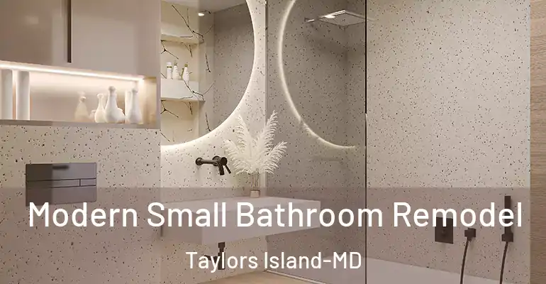 inner Bathroom imggen Modern Small Bathroom Remodel Taylors Island-MD