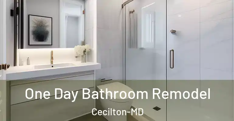 inner Bathroom imggen One Day Bathroom Remodel Cecilton-MD