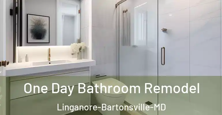 inner Bathroom imggen One Day Bathroom Remodel Linganore-Bartonsville-MD