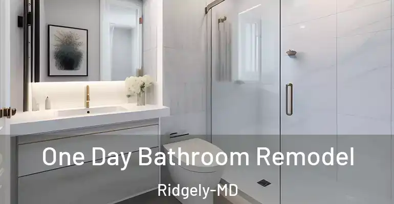inner Bathroom imggen One Day Bathroom Remodel Ridgely-MD