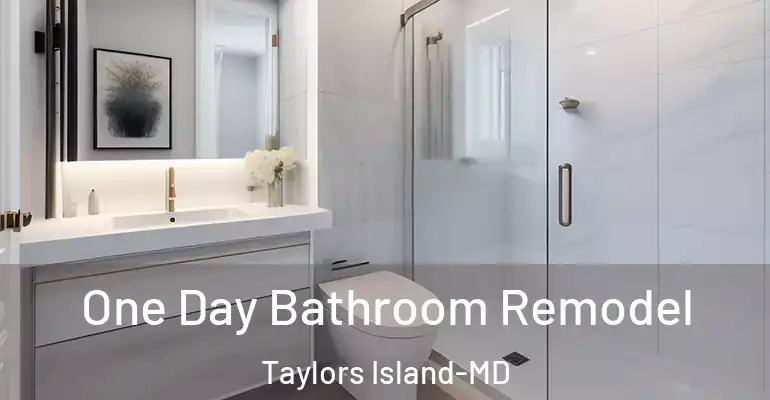 inner Bathroom imggen One Day Bathroom Remodel Taylors Island-MD