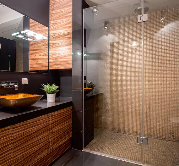 Why Choose Elite Bathroom Remodeling for Quality Tub to Shower Conversion Services in Salisbury, MD?