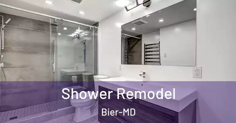 inner Bathroom imggen Shower Remodel Bier-MD