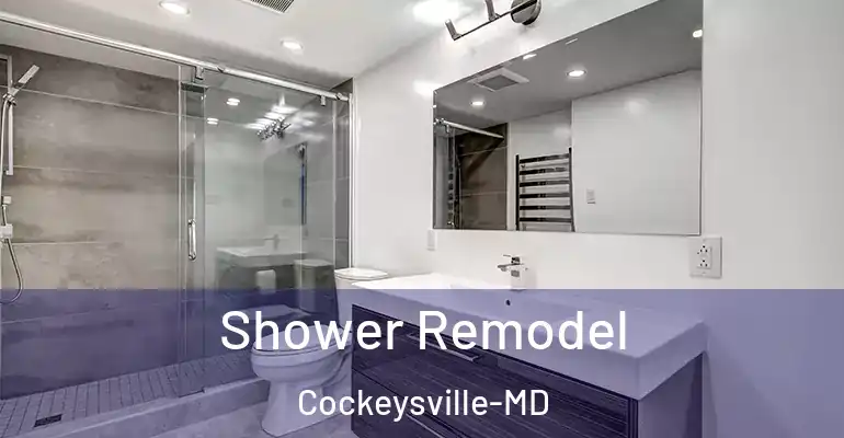 inner Bathroom imggen Shower Remodel Cockeysville-MD