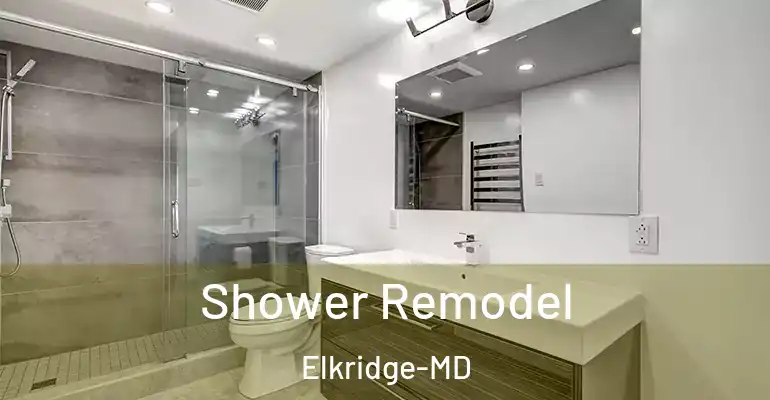 inner Bathroom imggen Shower Remodel Elkridge-MD