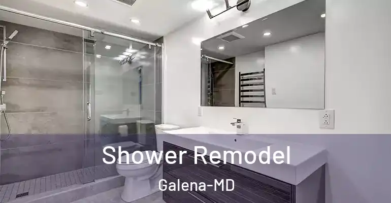 inner Bathroom imggen Shower Remodel Galena-MD