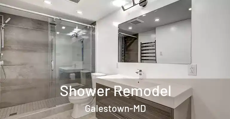 inner Bathroom imggen Shower Remodel Galestown-MD