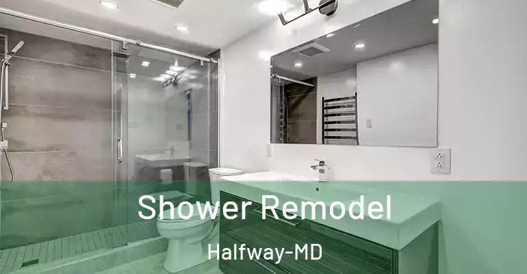 inner Bathroom imggen Shower Remodel Halfway-MD