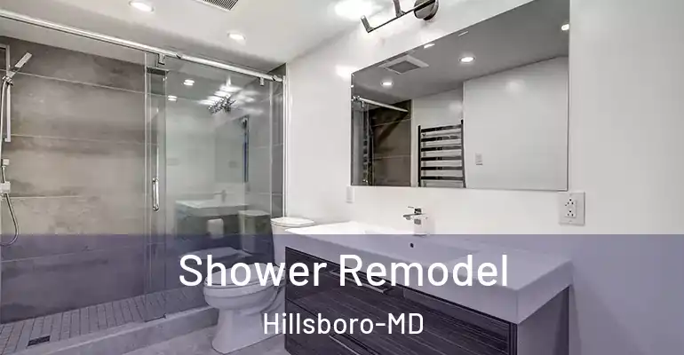 inner Bathroom imggen Shower Remodel Hillsboro-MD