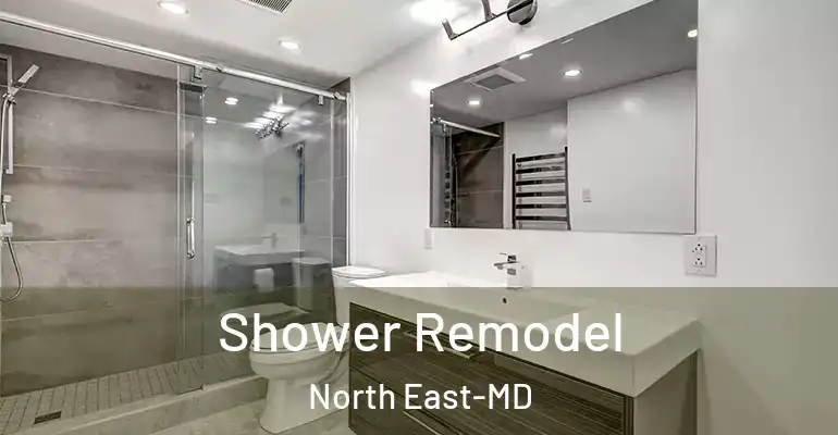 inner Bathroom imggen Shower Remodel North East-MD