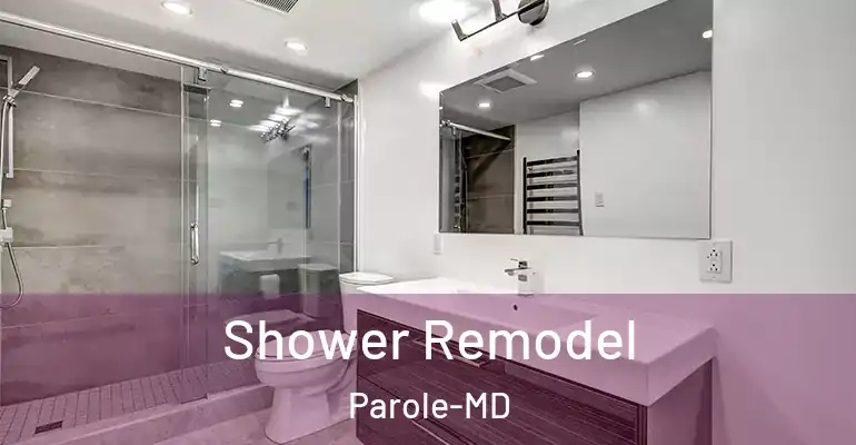 inner Bathroom imggen Shower Remodel Parole-MD
