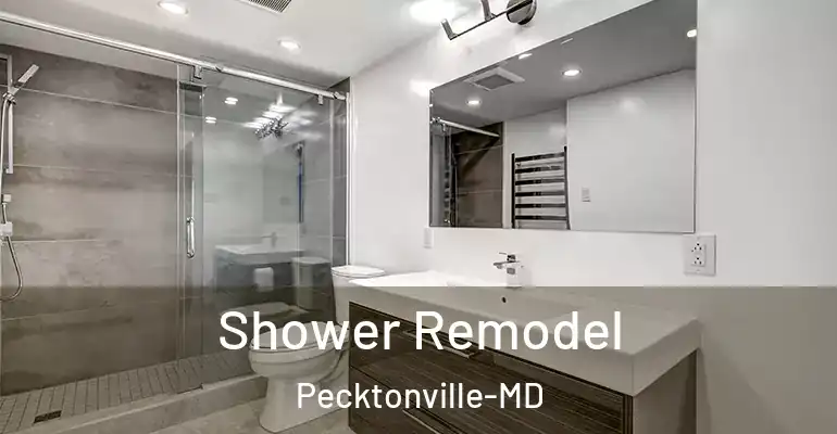 inner Bathroom imggen Shower Remodel Pecktonville-MD
