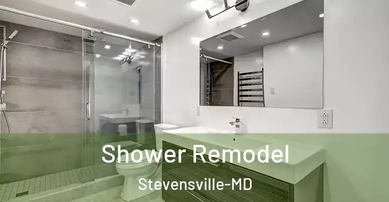 inner Bathroom imggen Shower Remodel Stevensville-MD
