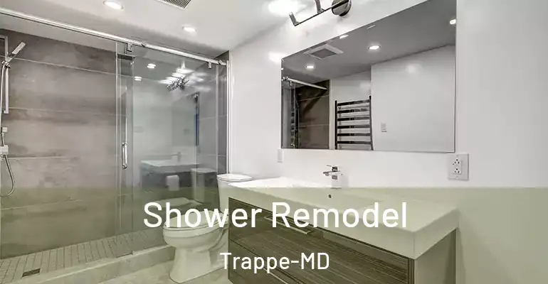 inner Bathroom imggen Shower Remodel Trappe-MD
