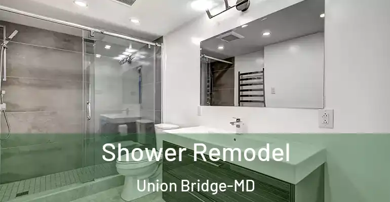 inner Bathroom imggen Shower Remodel Union Bridge-MD