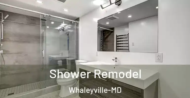 inner Bathroom imggen Shower Remodel Whaleyville-MD