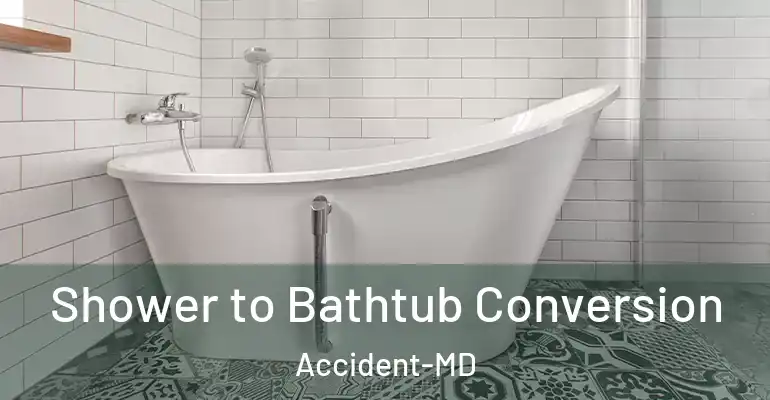 inner Bathroom imggen Shower to Bathtub Conversion Accident-MD