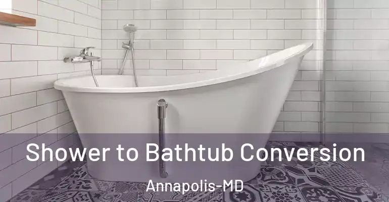 inner Bathroom imggen Shower to Bathtub Conversion Annapolis-MD