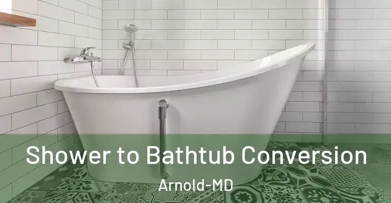 inner Bathroom imggen Shower to Bathtub Conversion Arnold-MD
