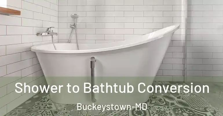 inner Bathroom imggen Shower to Bathtub Conversion Buckeystown-MD
