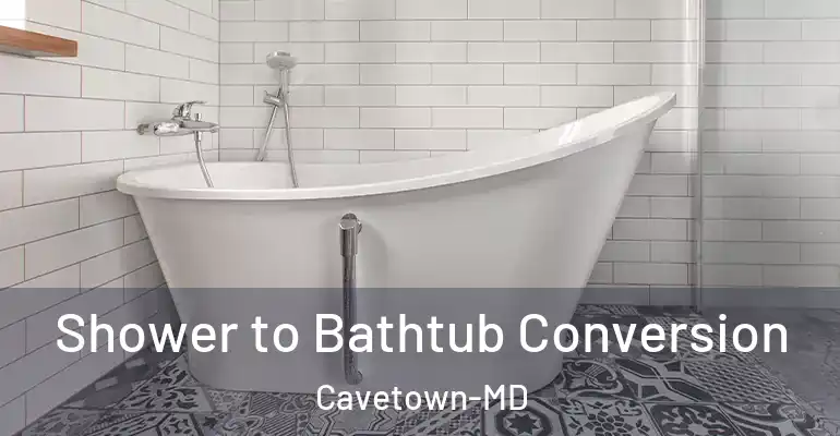 inner Bathroom imggen Shower to Bathtub Conversion Cavetown-MD
