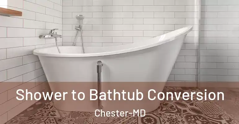inner Bathroom imggen Shower to Bathtub Conversion Chester-MD