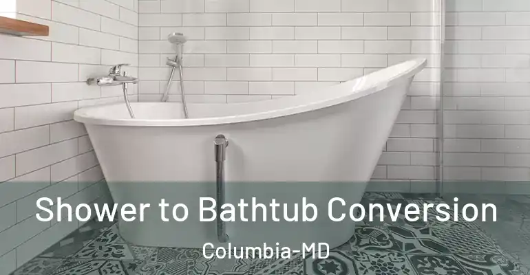 inner Bathroom imggen Shower to Bathtub Conversion Columbia-MD
