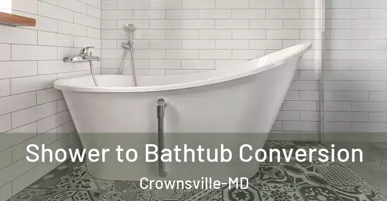 inner Bathroom imggen Shower to Bathtub Conversion Crownsville-MD
