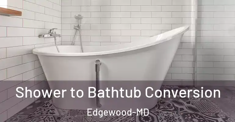inner Bathroom imggen Shower to Bathtub Conversion Edgewood-MD