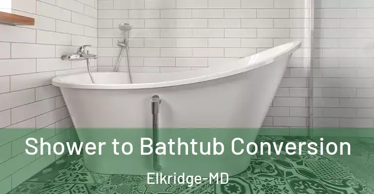 inner Bathroom imggen Shower to Bathtub Conversion Elkridge-MD