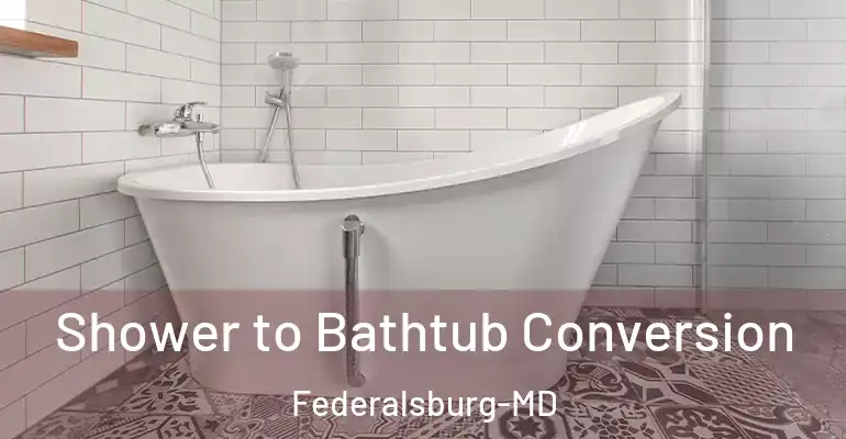 inner Bathroom imggen Shower to Bathtub Conversion Federalsburg-MD