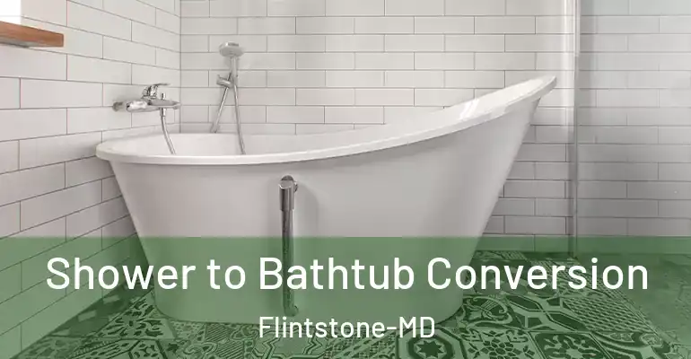 inner Bathroom imggen Shower to Bathtub Conversion Flintstone-MD