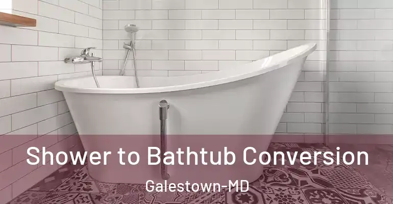 inner Bathroom imggen Shower to Bathtub Conversion Galestown-MD
