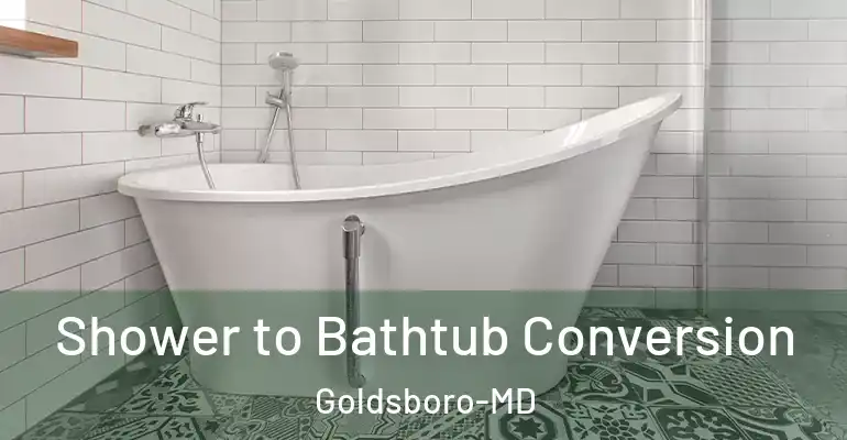 inner Bathroom imggen Shower to Bathtub Conversion Goldsboro-MD
