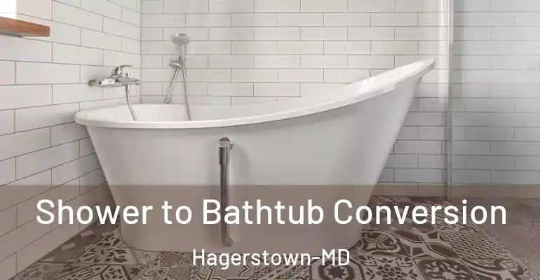 inner Bathroom imggen Shower to Bathtub Conversion Hagerstown-MD