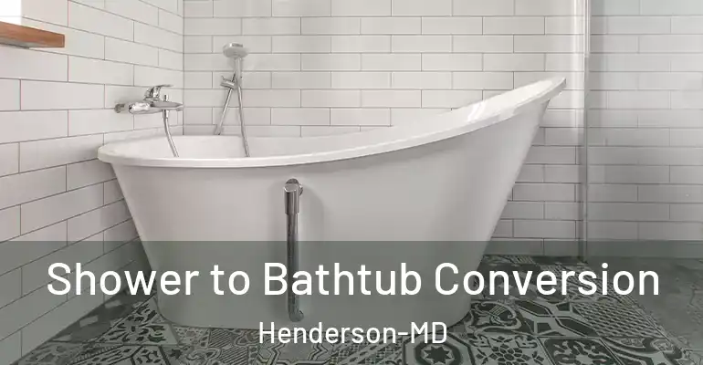 inner Bathroom imggen Shower to Bathtub Conversion Henderson-MD