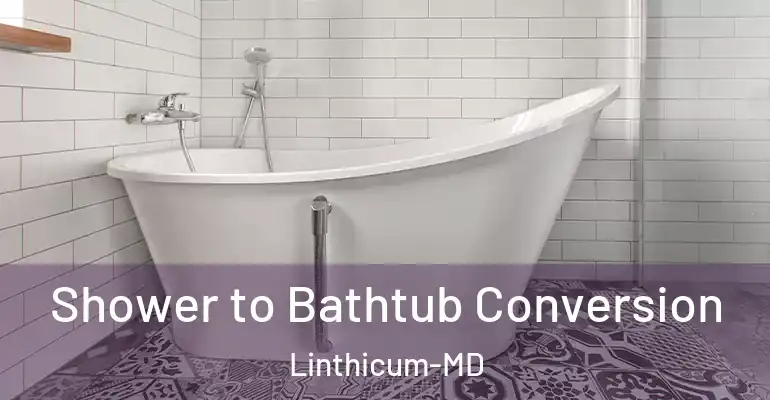 inner Bathroom imggen Shower to Bathtub Conversion Linthicum-MD